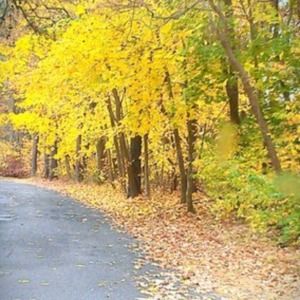 Meet your Posher, Derek